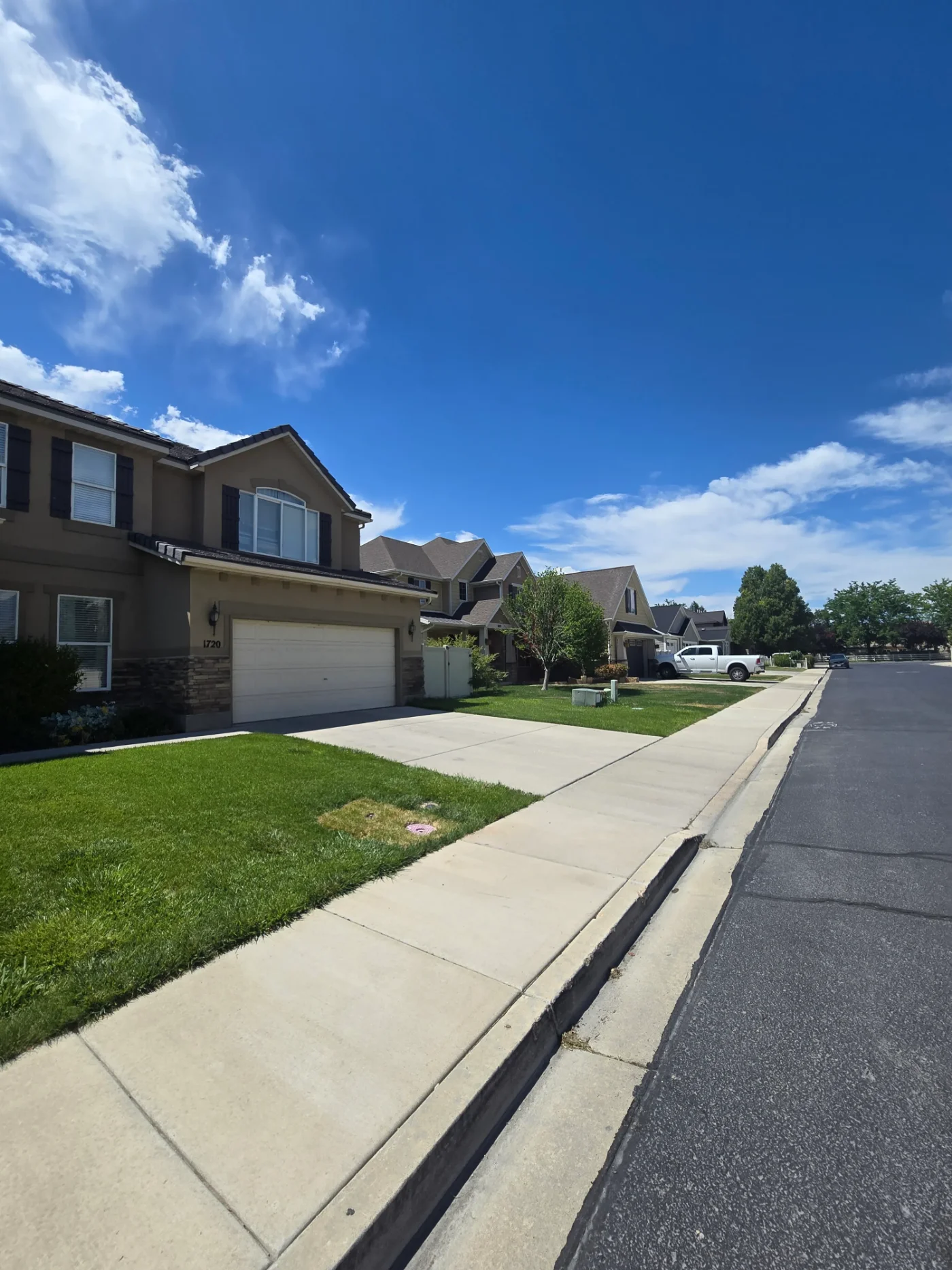 HOA dog waste removal keeping a community common area clean in Salt Lake County