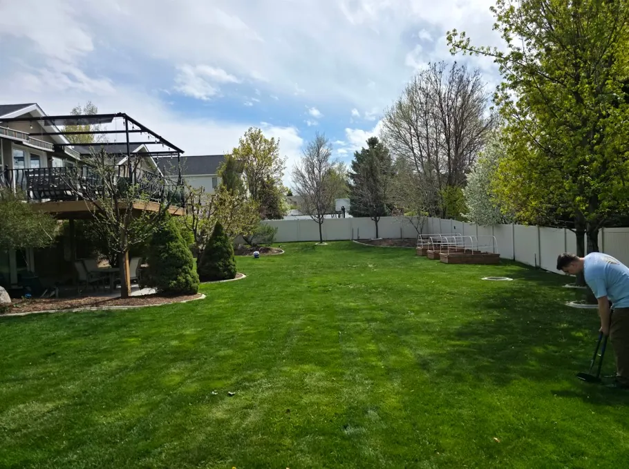 Residential dog waste removal keeping a backyard clean in Salt Lake County