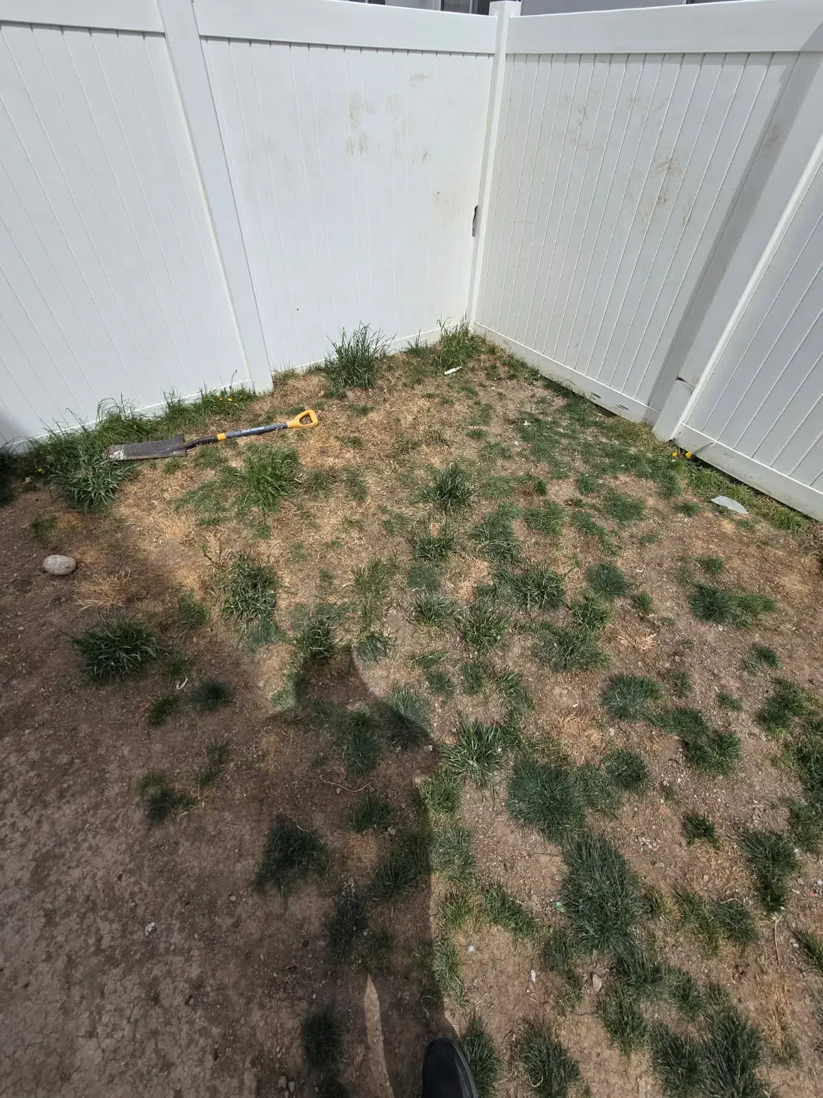 Clean yard after one-time dog waste removal in Utah