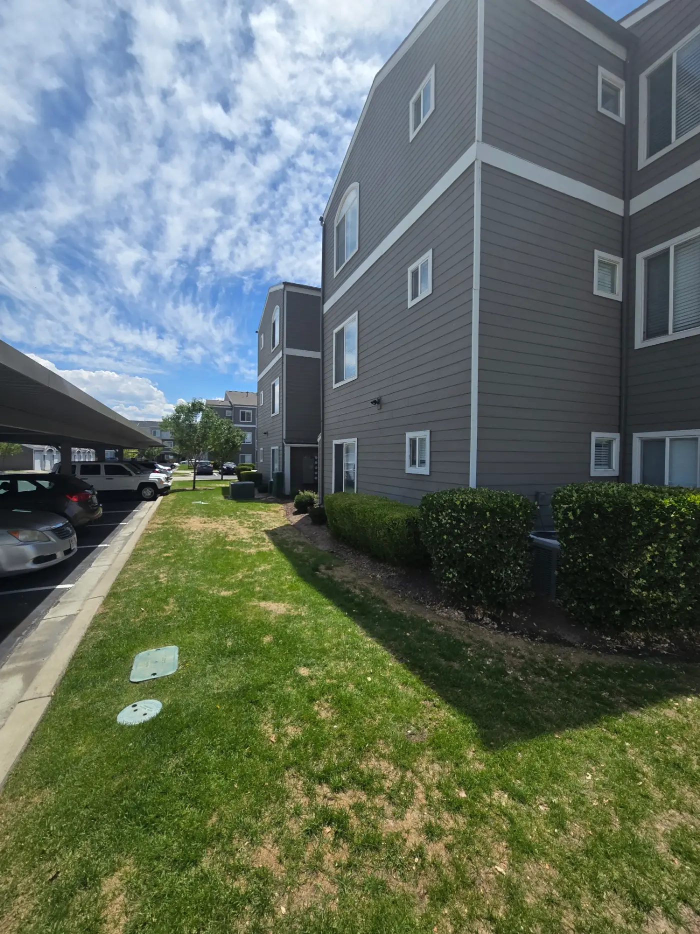 Commercial dog waste removal keeping an HOA common area clean in Salt Lake County
